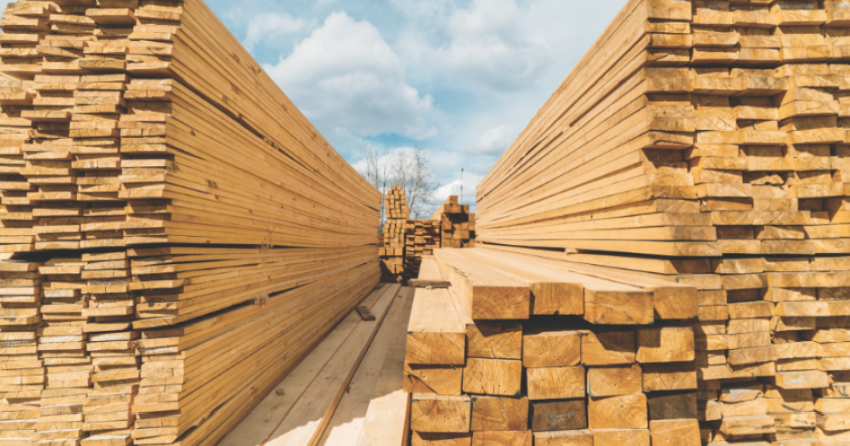 Why is lumber soooo expensive?