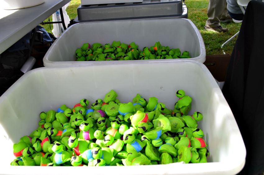 <who> Photo Credit: KamloopsBCNow.com </who> Two races of 2,000 turtles raised money for youth theatre programs.