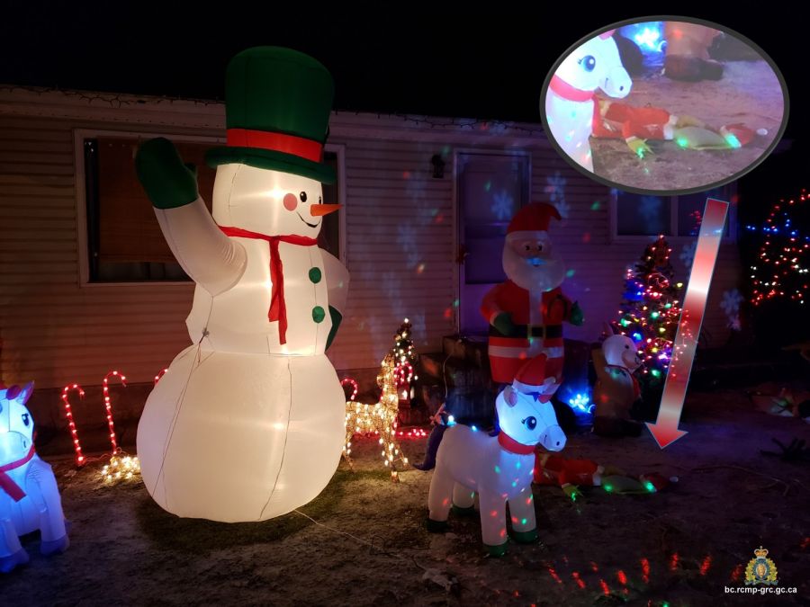 <who>Photo Credit: RCMP</who>All the stolen decorations together on a Salmon Arm front lawn.