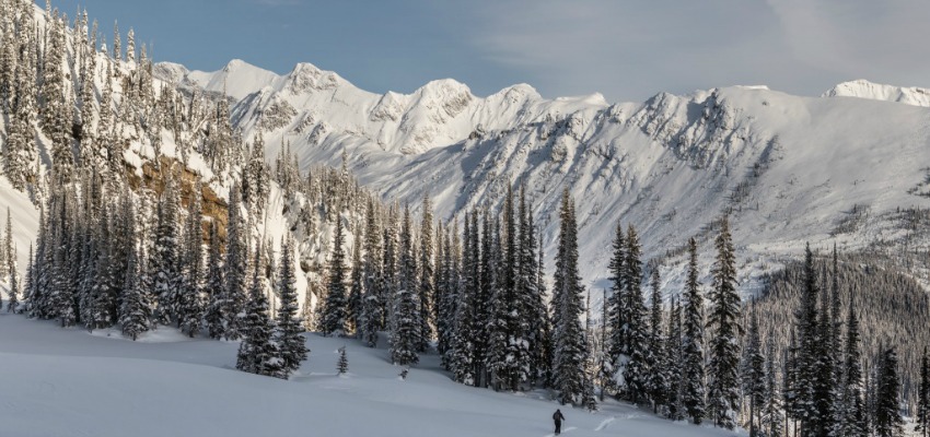 </who> Chatter Creek.