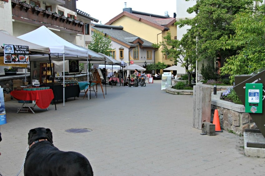 Every Sunday during the summer, the farmers' market gathers in the village.