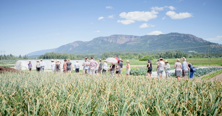 BC wine events to check out in 2019
