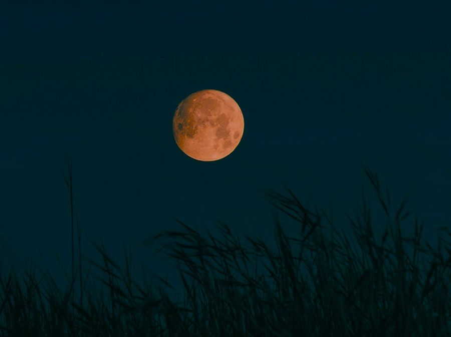 Harvest full moon will put on a show tonight, tomorrow night and Monday ...