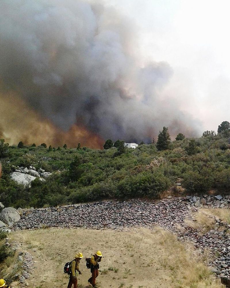 <who>Photo Credit: Wikipedia</who>The early stages of the Yarnell Hill Fire in 2013.