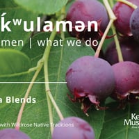 nakulamen (What We Do): Wild Tea Blends