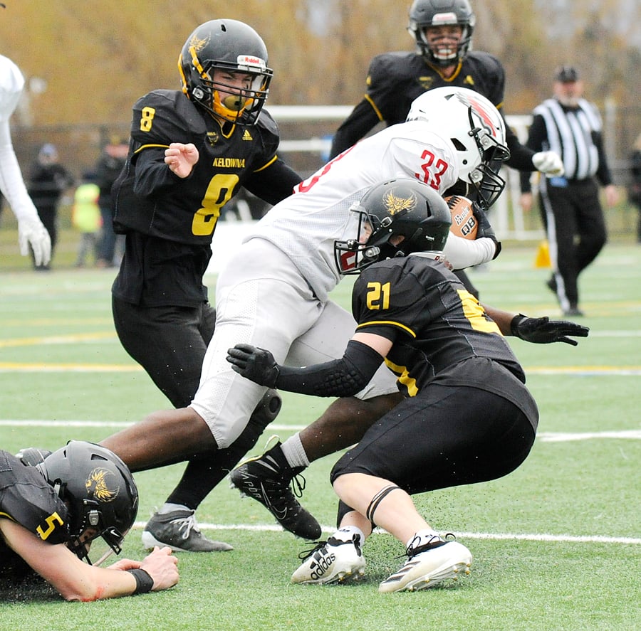 Nathan Gilbert (8) and Kieran Koltun (21) are among the leaders on defence for the Owls.