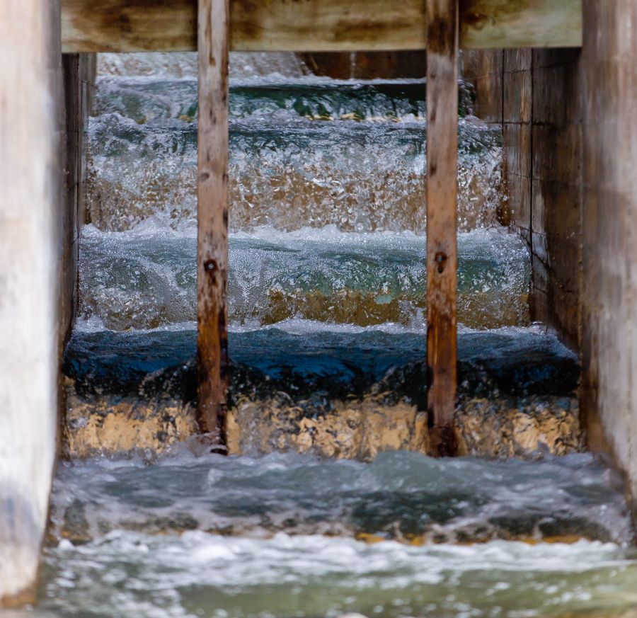 <who>Photo Credit: NowMedia</who> Water flows through the Penticton Dam fish ladder for the first time since 1953