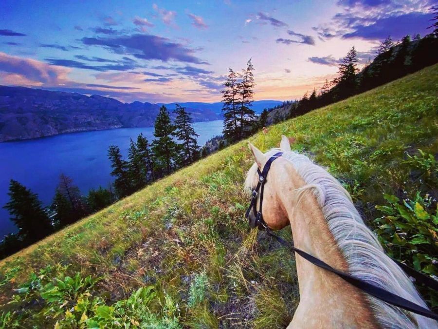 <who>Photo Credit: Wildhorse Mountain Guest Ranch</who> Views even your horse will love