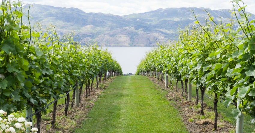 Your final BC wine touring itinerary