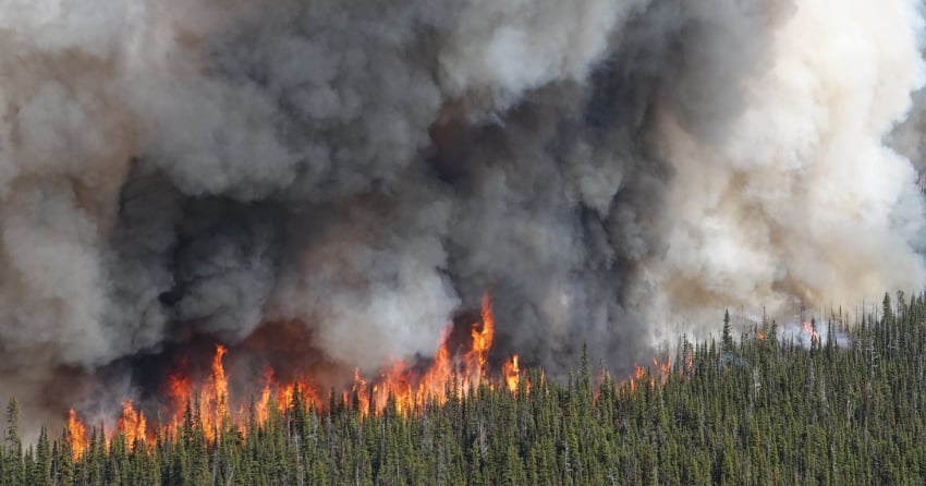 Wildfire options ‘exhausted’ as lightning, drought strain resources in BC district