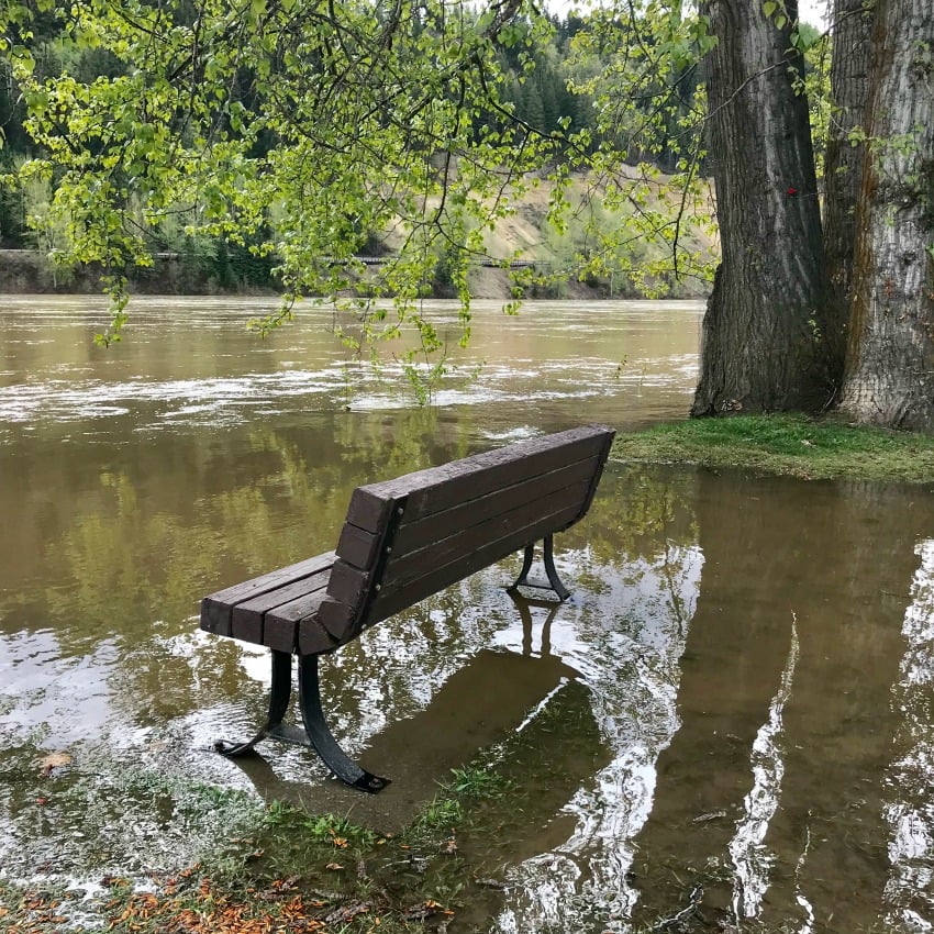 Paddlewheel Park