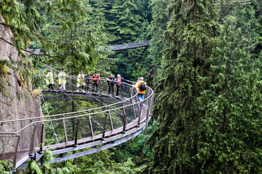 <who>Stock photo</who>The Capilano Cliff Walk in North Vancouver
