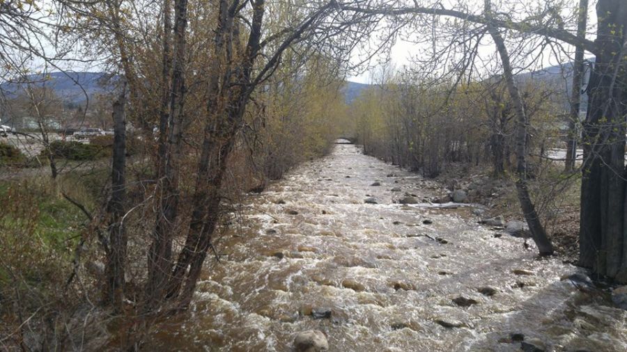 <who>Photo Credit: PentictonNow </who>Water levels in Penticton creeks continue to rise. Water was flowing quickly along Ellis Creek Friday morning.