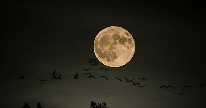 PHOTOS: A Blue Moon over the Thompson-Okanagan