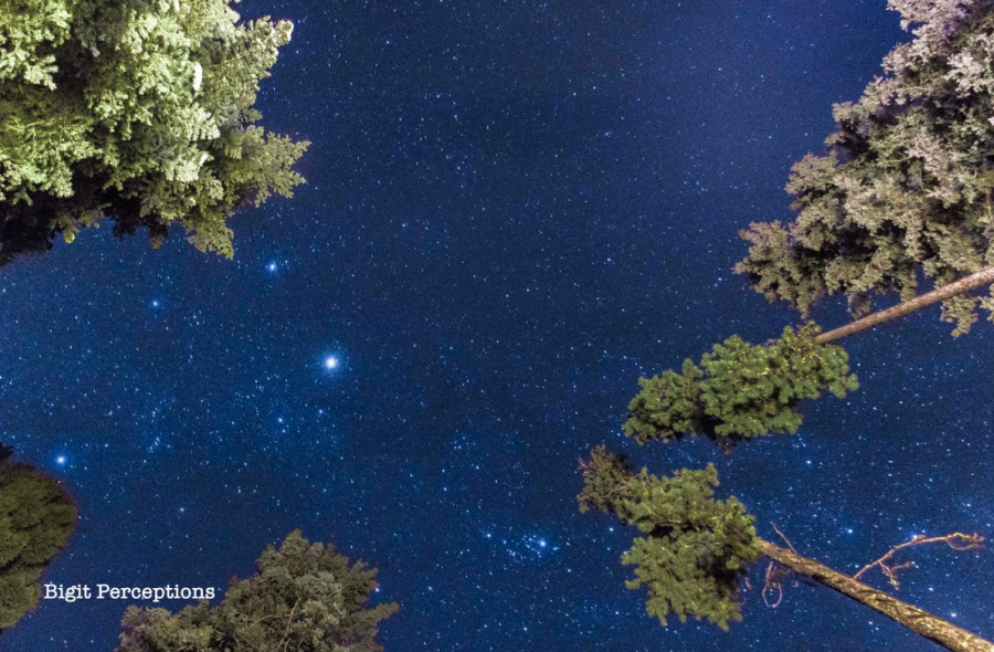 <who> Photo Credit: Paolo Bigit