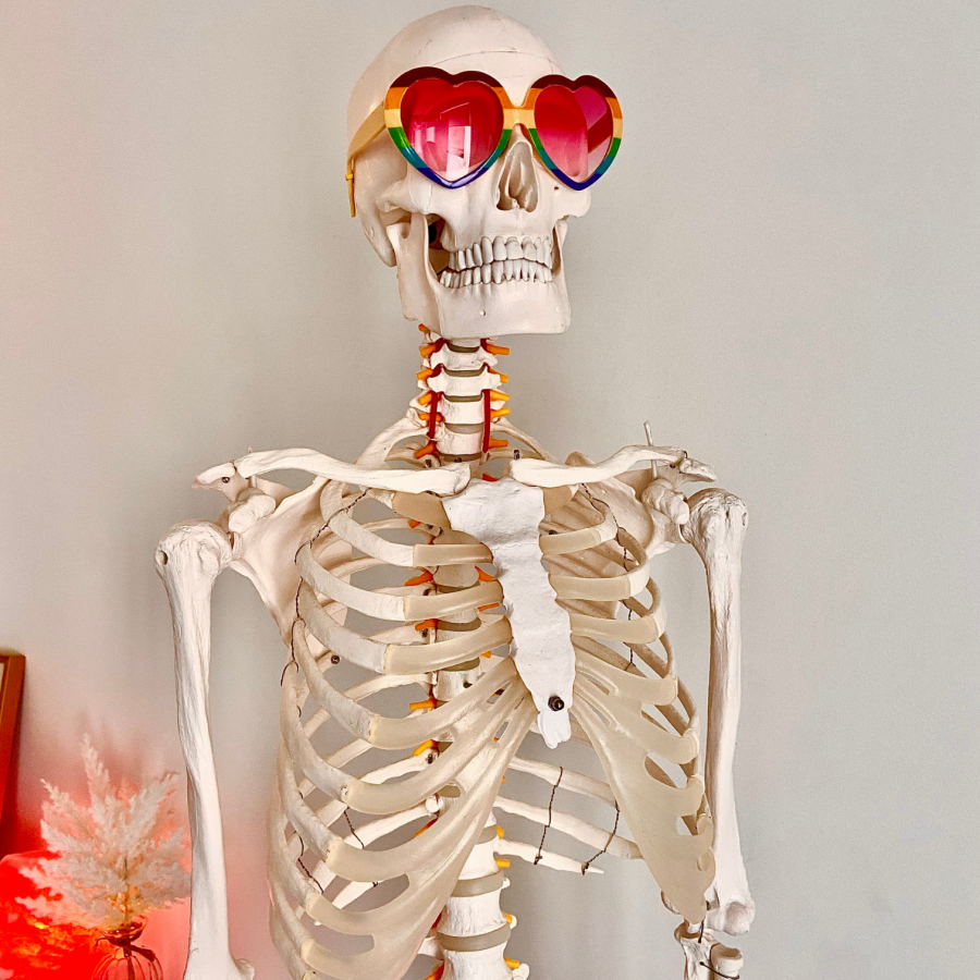 Carl the Skelly knows a lot about anatomy in the office.