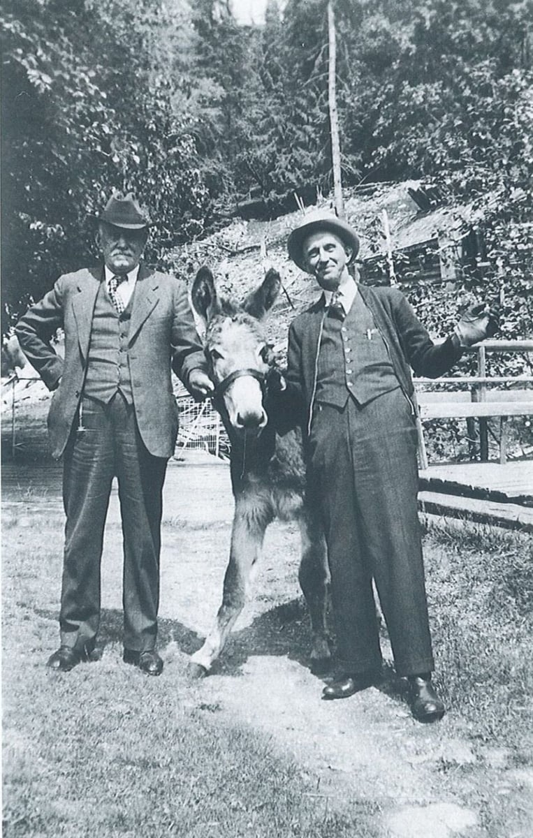 <who>Photo Credit: Halcyon; the Captain's Paradise - A history of Halcyon Hot Springs</who>Jenny the mule