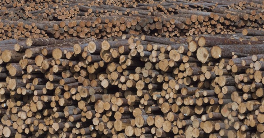 BC timber industry in throes of change, as premier warns of 'exhausted ...