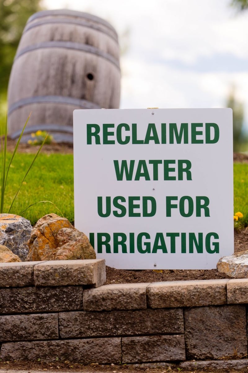 <who>Photo Credit: NowMedia</who>