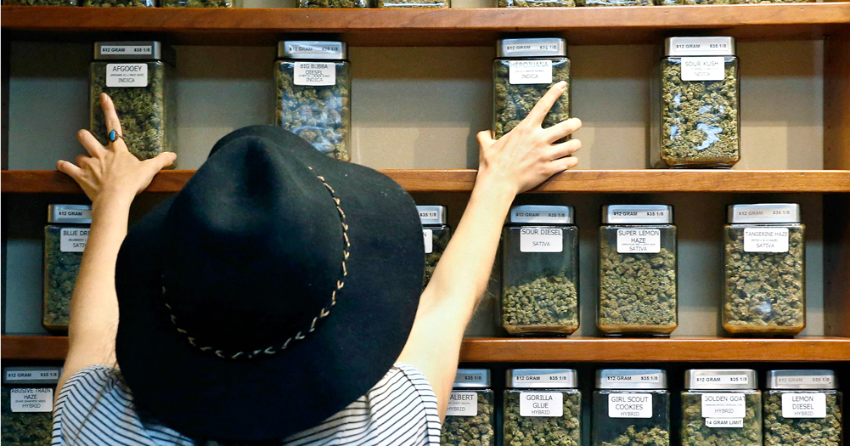 Here’s how many varieties of cannabis BC’s first pot shop will carry