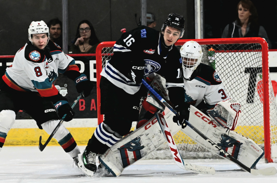 Rockets split season series with Wild