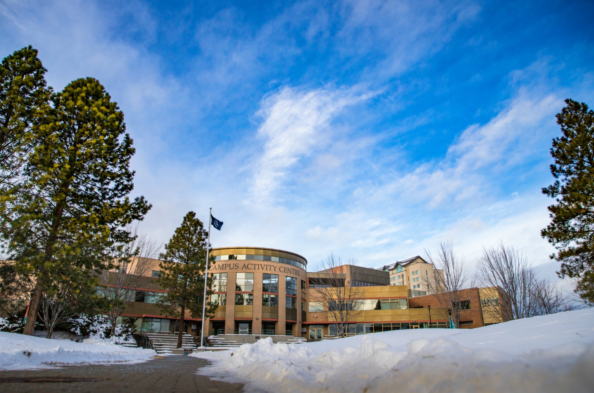 How to have a successful winter semester