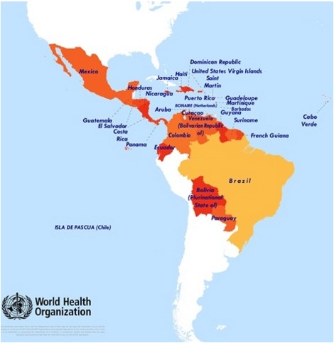Since 2007, 41 countries have reported local transmission of the virus.