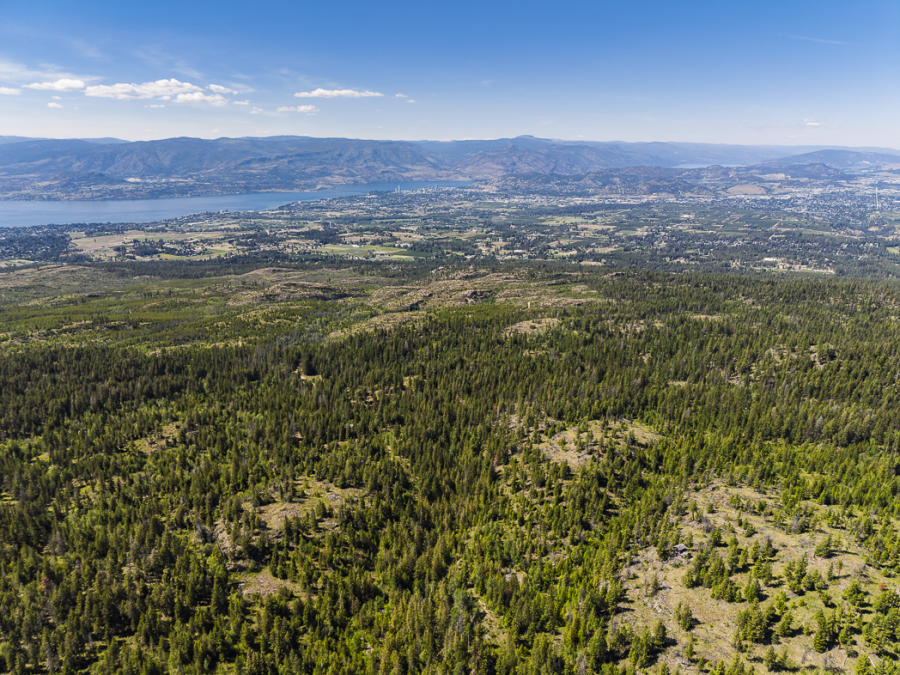 <who>Photo credit: BC Parks Foundation</who>This aerial photo shows the parcel the BC Parks Foundation wants to purchase inside Myra-Bellvue Provincial Park.