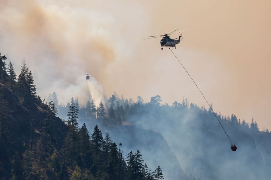 Photo Credit: NowMedia/Gord Goble</who>