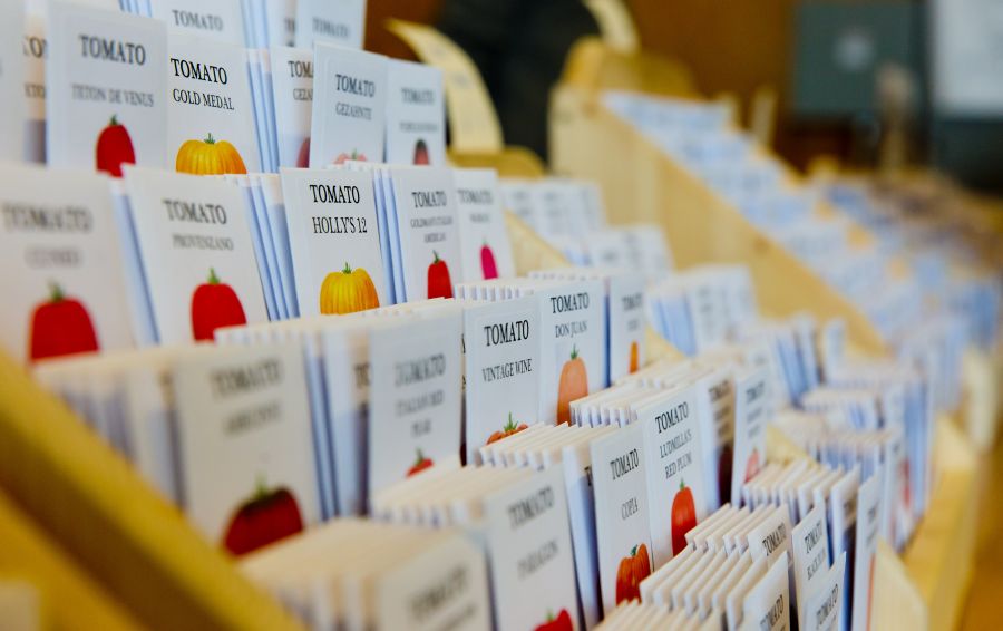 Scene from 2019 Seedy Saturday