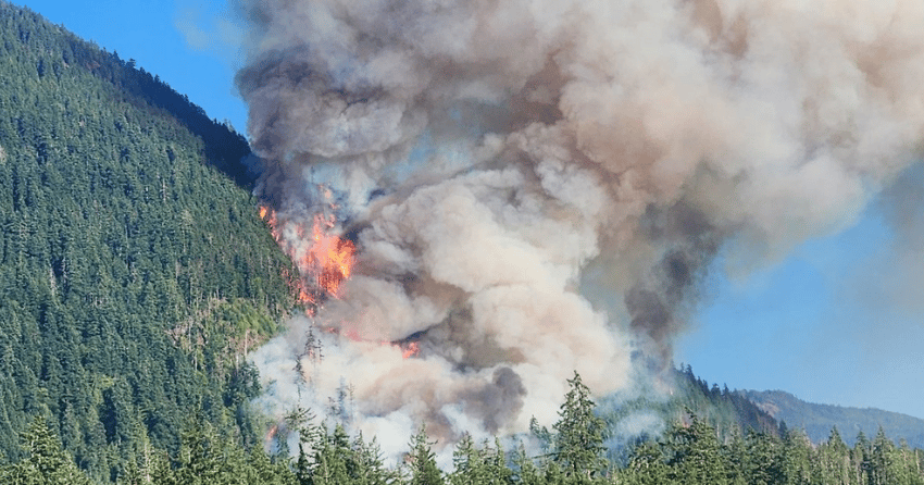 Wildfire near Port Alberni triggers evacuations, road closure