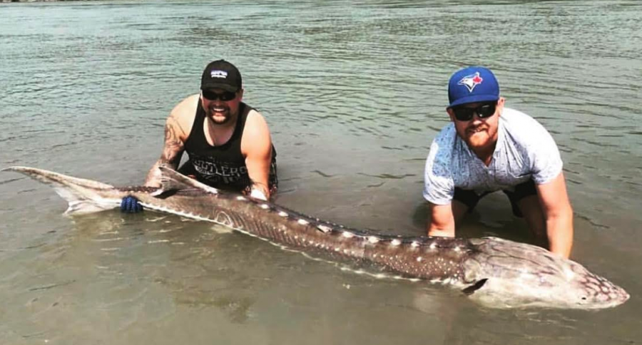 <who> Photo Credit: Chris Martin