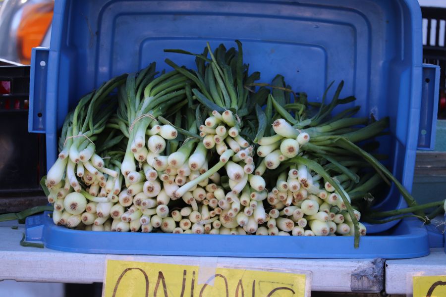 ‘All the things we've gone through here’: KFCM holds last market in ...