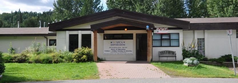 <who>Photo Credit: BC SPCA</who>The North Cariboo District Branch in Prince George