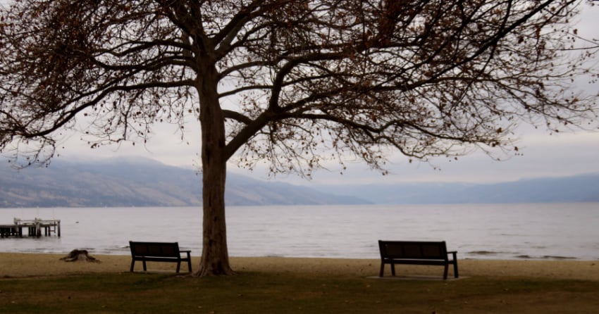 Kelowna weather: High of zero, mix of clouds and sunshine