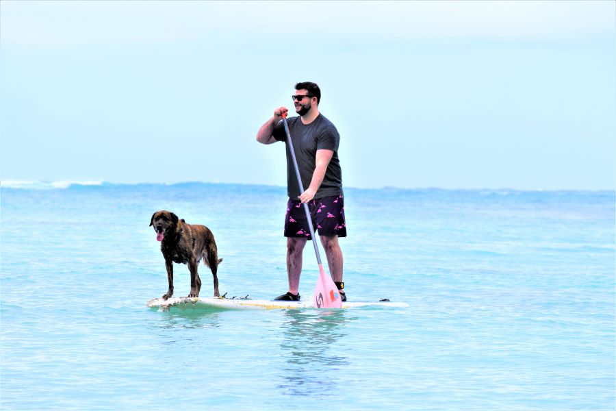 </who>Alex MacNaull stand-up paddleboards with Kahuna, one of the canine guides with Hawaii Surf Dogs.