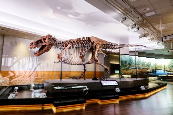 <who>Photo credit: © 2018 Field Museum, photo by Lucy Hewett