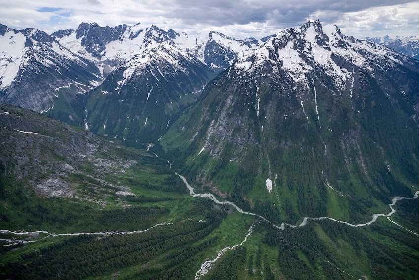 <who> Photo Credit Courtesy of Paul Zizka via The Nature Conservancy of Canada
