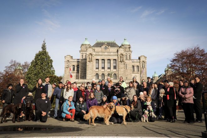 </who>Photo credit: Animal Alliance of Canada | The 5th Annual Animal Victims of War Memorial in Victoria