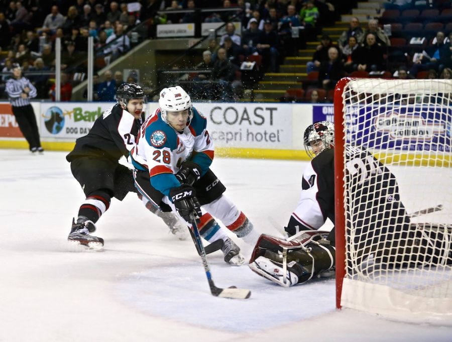 <who>Photo credit: KelownaNow - Rookie Leif Mattson has 5 goals and 3 assists on the season</who>