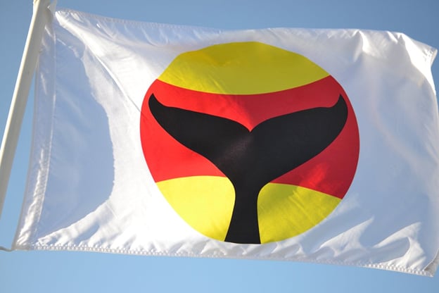 <who>Photo Credit: San Juan County Marine Resources Committee</who>Whale warning flag