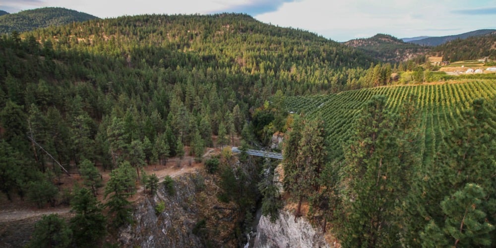 A peaceful morning along the Trout Creek Trestle