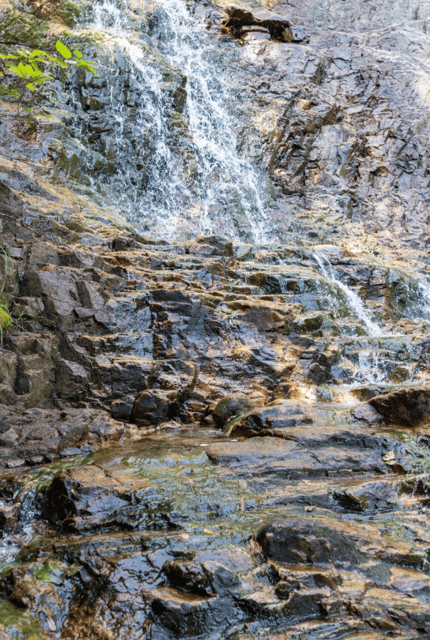 <who>Photo Credit: John Borda</who>