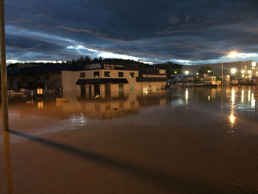 Photo credit Jen Grunert - Adams Road