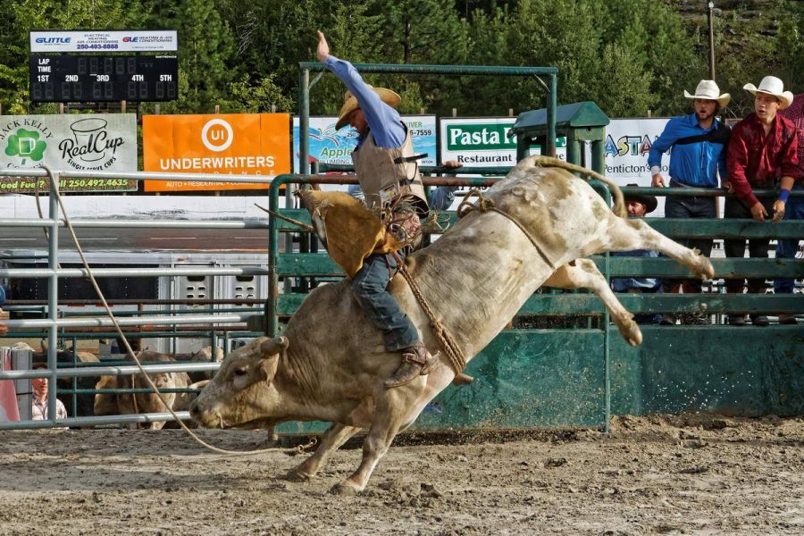 Penticton Speedway has cancelled its Bull-A-Rama professional bull riding event set for Saturday evening due to the outbreak of numerous wildfires across the region.