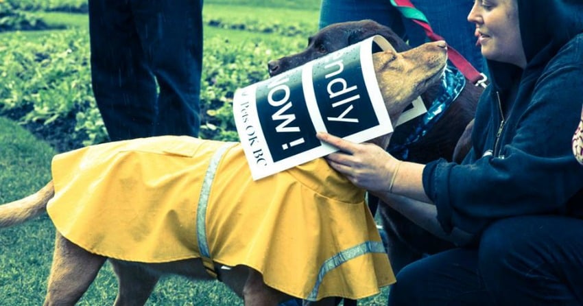 <who>Photo Credit: Pets OK BC</who> Rally for Affordable Pet-Friendly Housing in B.C.