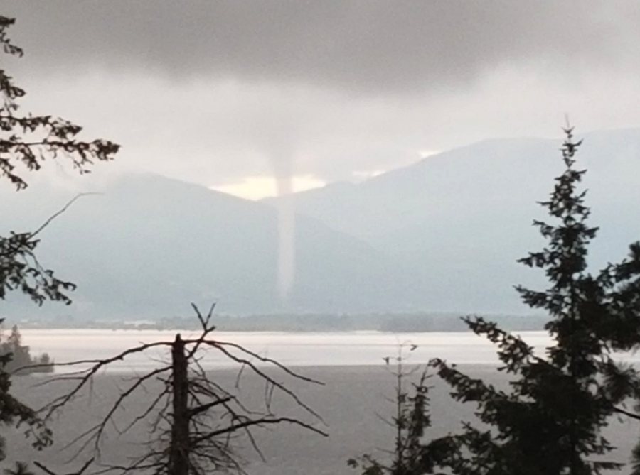 <who> Photo Credit: Faye Donaldson