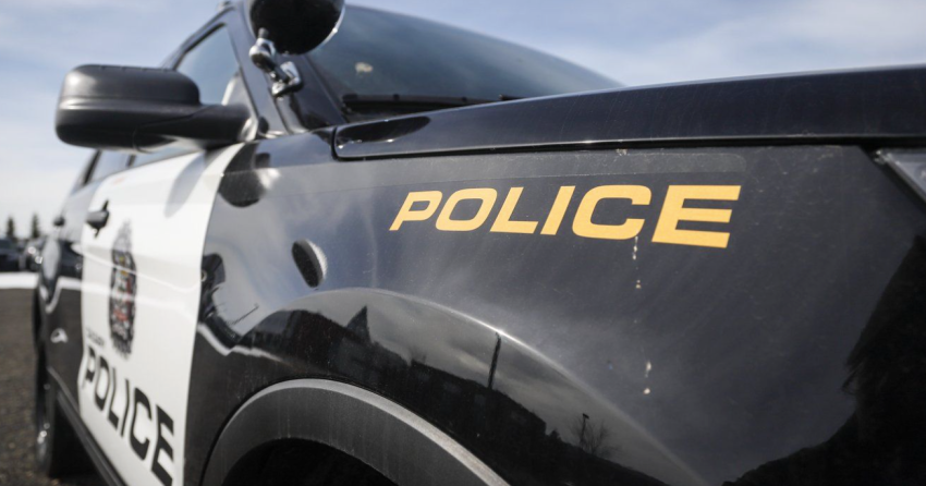 Man, 62, accused of assaulting woman after his dog attacked her dog