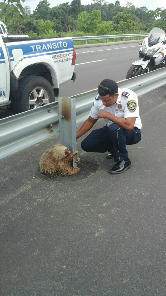 <who> Photo Credit: Transit Commission of Ecuador/Facebook 