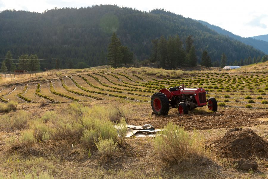 <who>Photo Credit: NowMedia/Gord Goble</who> Scene from Garnet Valley Ranch Winery